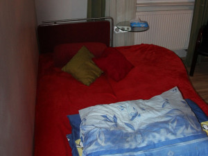 V pronajatém domě provozovaly dvě ženy privát. Vydělaly si přes čtyři miliony korun