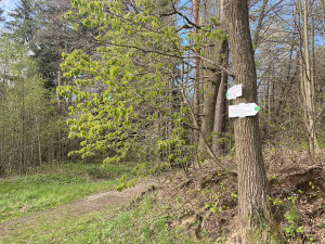 Tip na víkend: Rozhlédněte se po vodní nádrži Římov a projděte část křížové cesty
