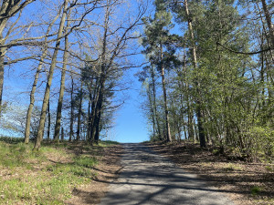 Tip na víkend: Rozhlédněte se po vodní nádrži Římov a projděte část křížové cesty