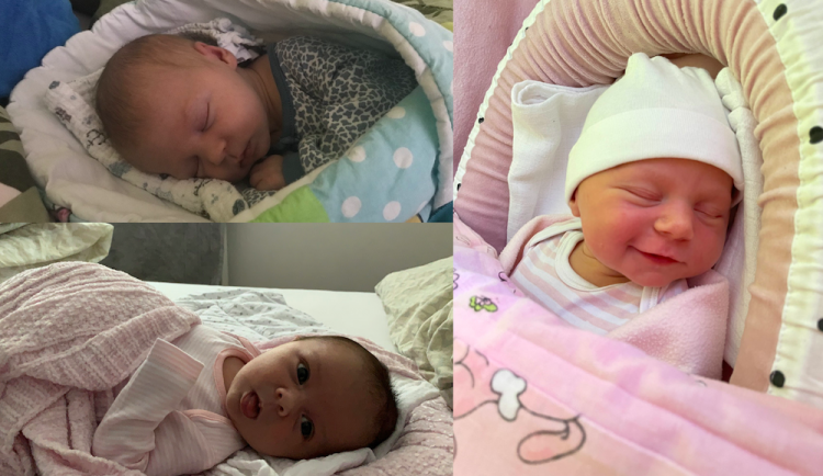 SOUTĚŽ: Hlasujte pro drbňátko dubna