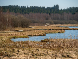 Dostavba Olšiny skončila o měsíc dřív. Návštěvníkům se otevře už zítra