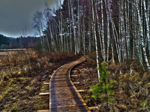 Dostavba Olšiny skončila o měsíc dřív. Návštěvníkům se otevře už zítra