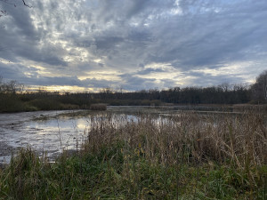 Tip na víkend: Víra, Naděje, Láska. Znáte rybníky na Třeboňsku?
