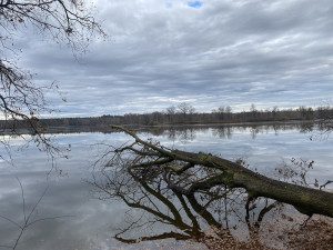 Tip na víkend: Víra, Naděje, Láska. Znáte rybníky na Třeboňsku?