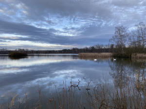 Tip na víkend: Víra, Naděje, Láska. Znáte rybníky na Třeboňsku?