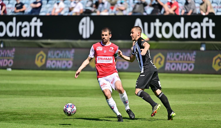 Rodinný areál Lipno zve fanoušky Dynama se slevou na Stezku korunami stromů a do Království lesa