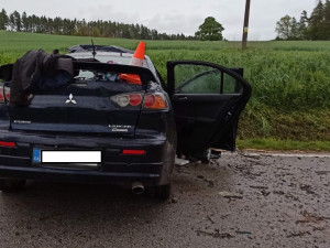 Další smrtelná nehoda na jihu Čech. Mladík nepřežil náraz do stromu