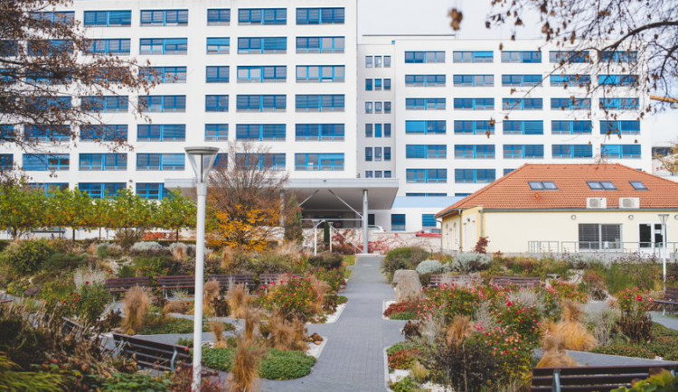 Českobudějovická nemocnice od úterý povoluje návštěvy pacientů