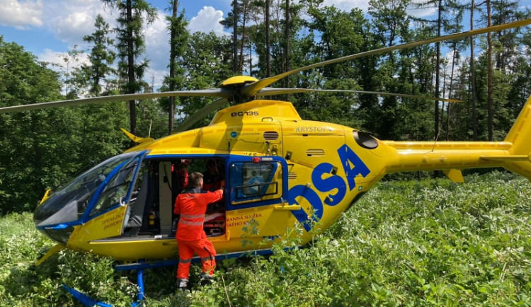 Na mladíka z Brněnska spadl při kácení strom, je ve vážném stavu v nemocnici