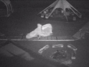 Zloděj ukradl z pláže v Černé v Pošumaví záchranářský surf. Pátrá po něm policie