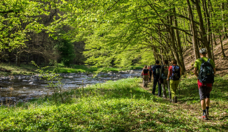 Klub českých turistů udržuje přes 43 tisíc kilometrů pěších tras po celém Česku