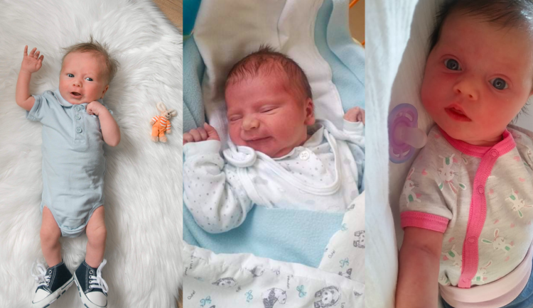 SOUTĚŽ: Hlasujte pro drbňátko května