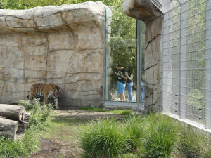 Zoo Hluboka nad Vltavou