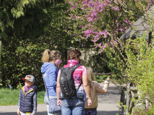 Zoo Hluboka nad Vltavou