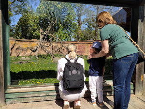 Zoo Hluboká je otevřena