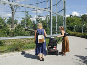 Zoo Hluboka nad Vltavou