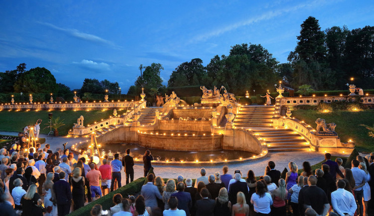 box@fotosvacek.cz +420602428001 auviex@auviex.cz