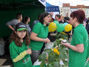 Sportovně relaxační areál v Hluboké nad Vltavou ožije benefiční akcí Hejbni kostrou s budějckou Roskou