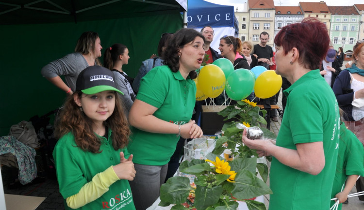 Sportovně relaxační areál v Hluboké nad Vltavou ožije benefiční akcí Hejbni kostrou s budějckou Roskou