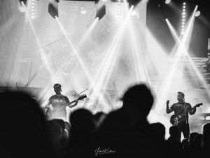 Slavnostní otevření Zahrady květů v borovanském klášteře je naplánováno na příští sobotu