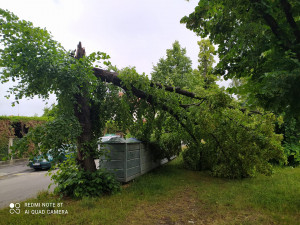 České Budějovice. Autor- Terezka Alex Buryánová