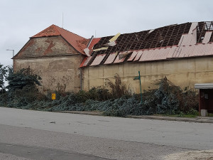 Dříteň - náves. Autor Zdeňka Jandová