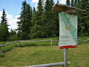 Rekonstrukce unikátního hradlového mostu Rechle u šumavské Modravy se posouvá