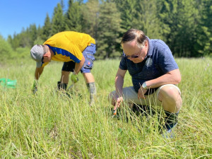 Výzkum u lipenské přehrady se pokusí zjistit, kolik tam je chráněných střevlíků