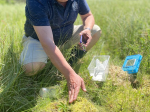 Výzkum u lipenské přehrady se pokusí zjistit, kolik tam je chráněných střevlíků