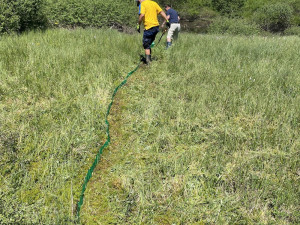 Výzkum u lipenské přehrady se pokusí zjistit, kolik tam je chráněných střevlíků