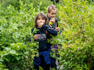 Vstupenky na Borůvkobraníčko je nutné předem rezervovat, na místě již nebudou k dispozici