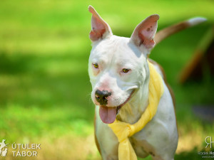 Radek Havlicek-VividFoto.cz