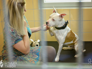 Radek Havlicek-VividFoto.cz