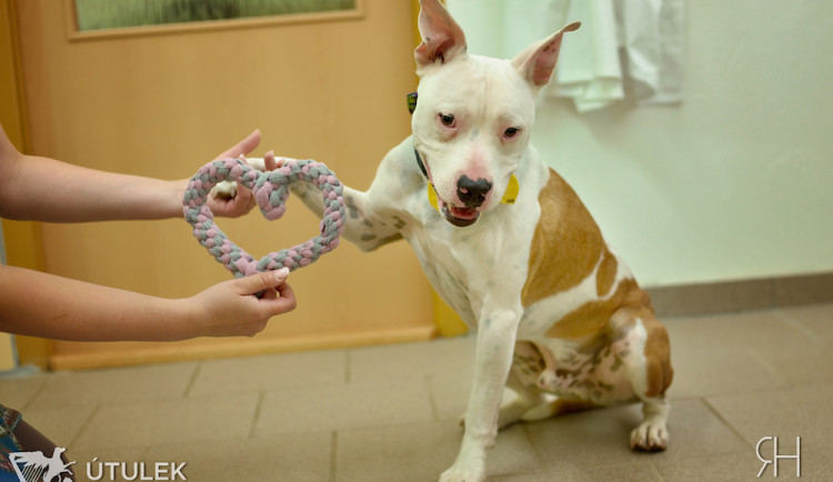 Radek Havlicek-VividFoto.cz