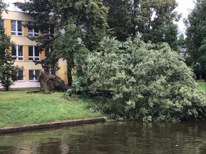 Přes Budějce se prohnala silná bouře. Výstraha meteorologů platí do zítra