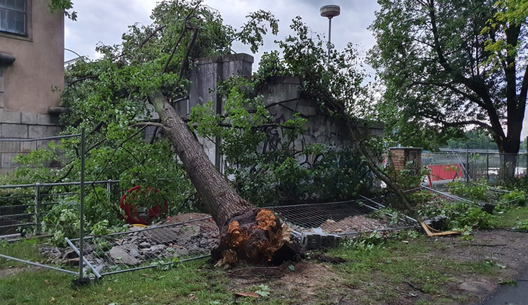 Kvůli silné bouřce stále nejezdí některé vlaky. Lidé by neměli chodit do parků, varuje město