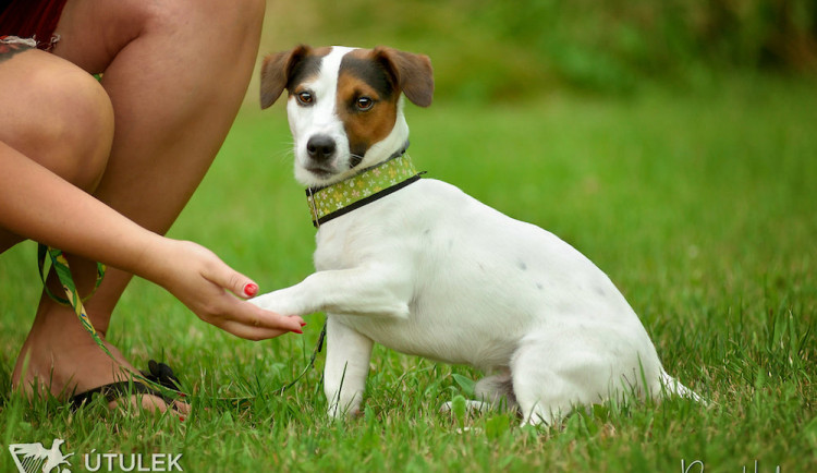 Radek Havlicek-VividFoto.cz