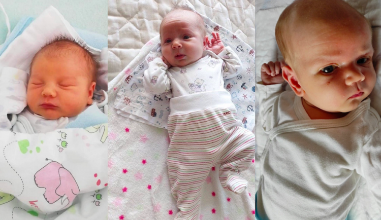 SOUTĚŽ: Hlasujte pro drbňátko června