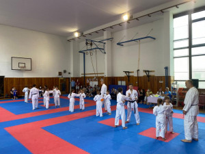 TJ Karate České Budějovice spustilo registraci pro další sezónu. Děti se mohou hlásit i do Sportovní přípravky
