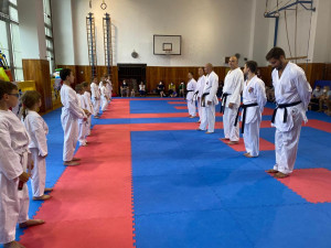 TJ Karate České Budějovice spustilo registraci pro další sezónu. Děti se mohou hlásit i do Sportovní přípravky