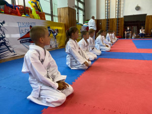 TJ Karate České Budějovice spustilo registraci pro další sezónu. Děti se mohou hlásit i do Sportovní přípravky