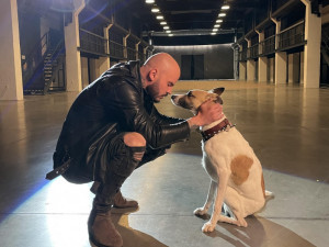 Film o psu Gumpovi, který míří příští týden do kin, představil nový videoklip