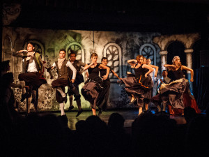 zdenek.rosenthaler@seznam.cz