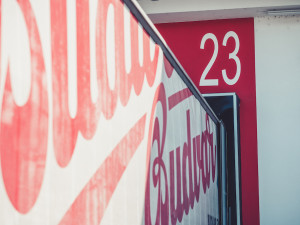 Budvar má za sebou rekordní rok. Uvařil nejvíce piva v historii