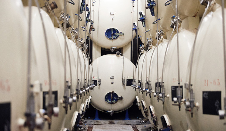 Budvar má za sebou rekordní rok. Uvařil nejvíce piva v historii