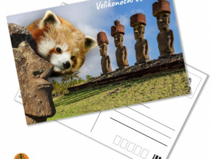 V Zoo Jihlava můžete poslat zvíře na dovolenou