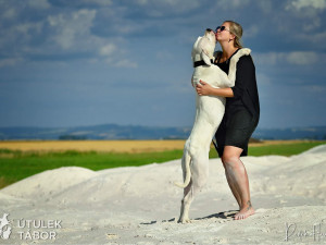 Anubis hledá novou rodinu. Je to unikátní pes s charakterem, který miluje procházky