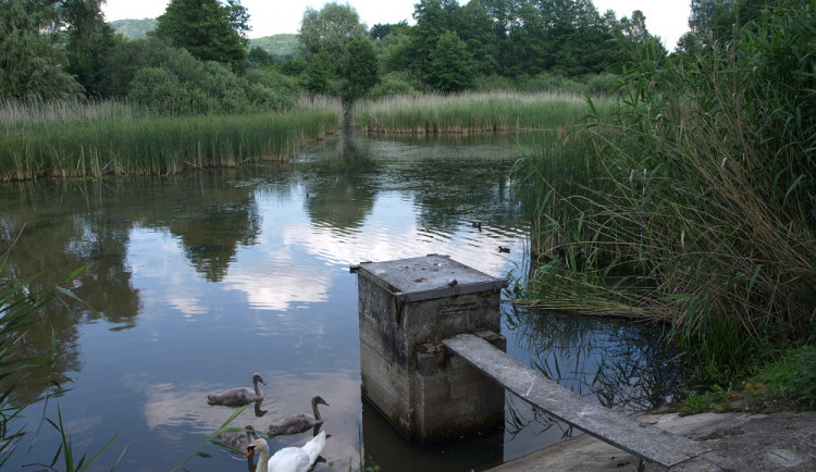 Deště poškodily hráz Kachního rybníka. Po vyhlášení pohotovosti byl preventivně vypuštěn