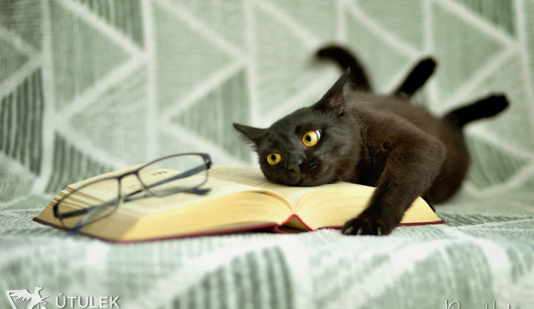 Radek Havlicek-VividFoto.cz