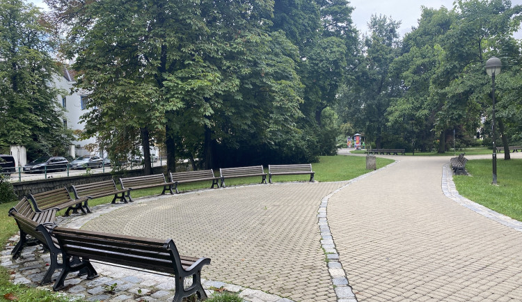 Nevystrkuj kozy a nebuď drsná. Co se musí stát, aby někdo situaci Na Sadech řešil?